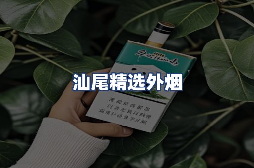 汕尾精选外烟